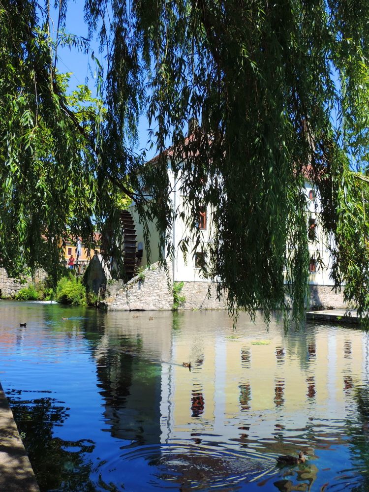 Photograph by Светлана Стрыгина