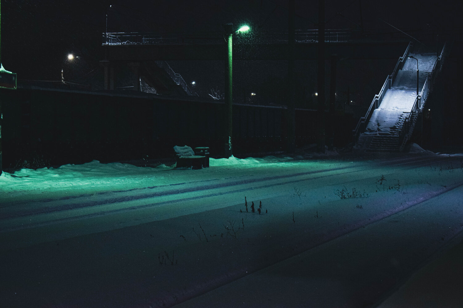 Photo #13067707