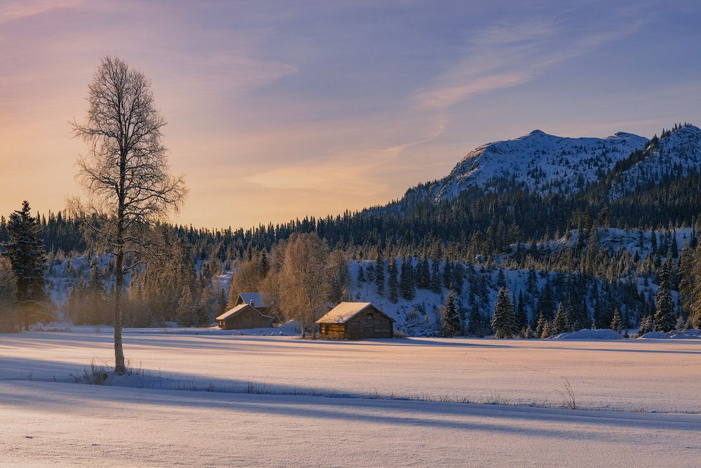 Photograph by Renee Johansson