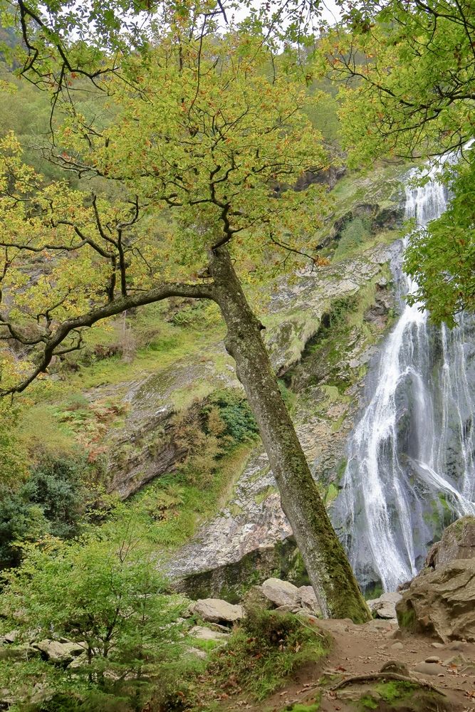 Powerscourt Waterfall