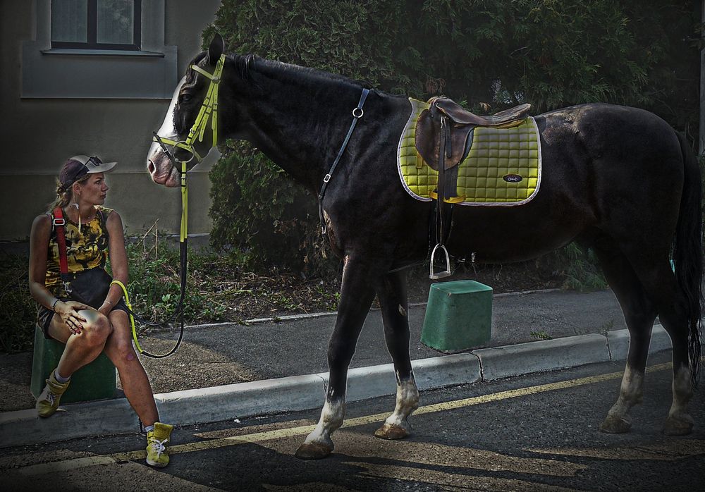 Фотография автора Валерий Алфимов