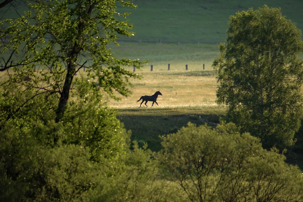 Photograph by Сергей Кравченко