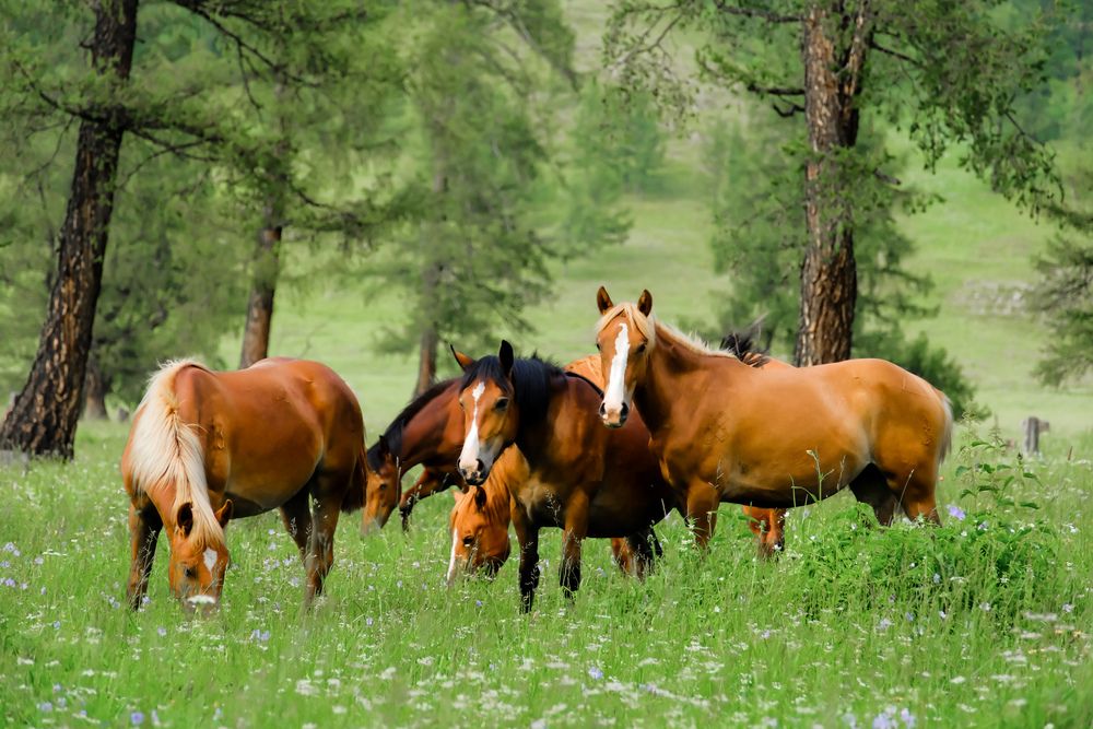 Photograph by Сергей Кравченко