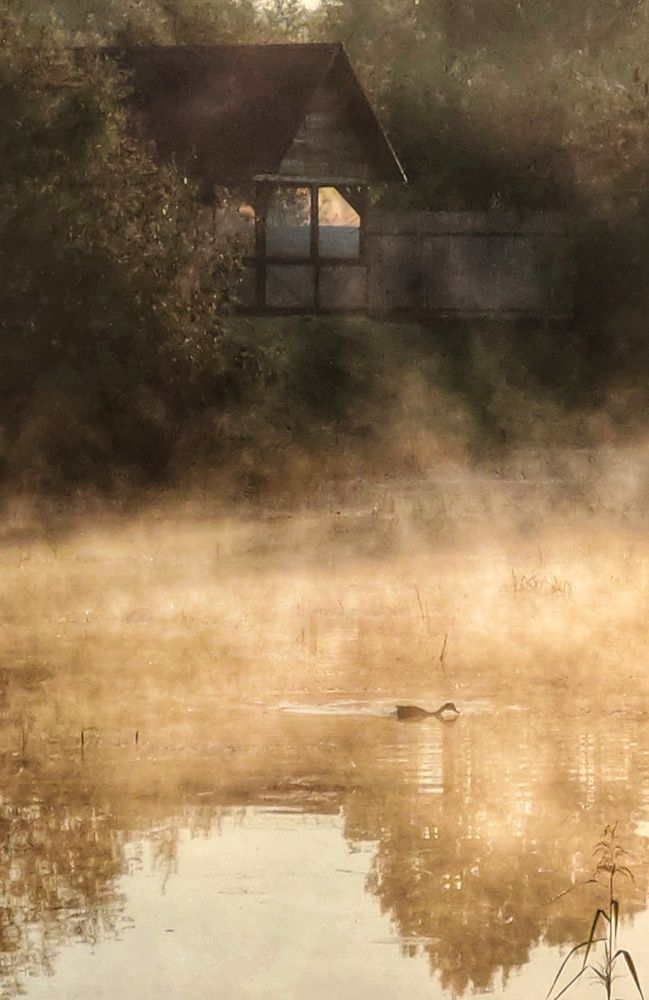 Photograph by Юлия