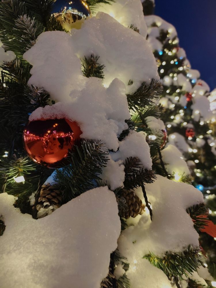 Photograph by Мария Фадеева