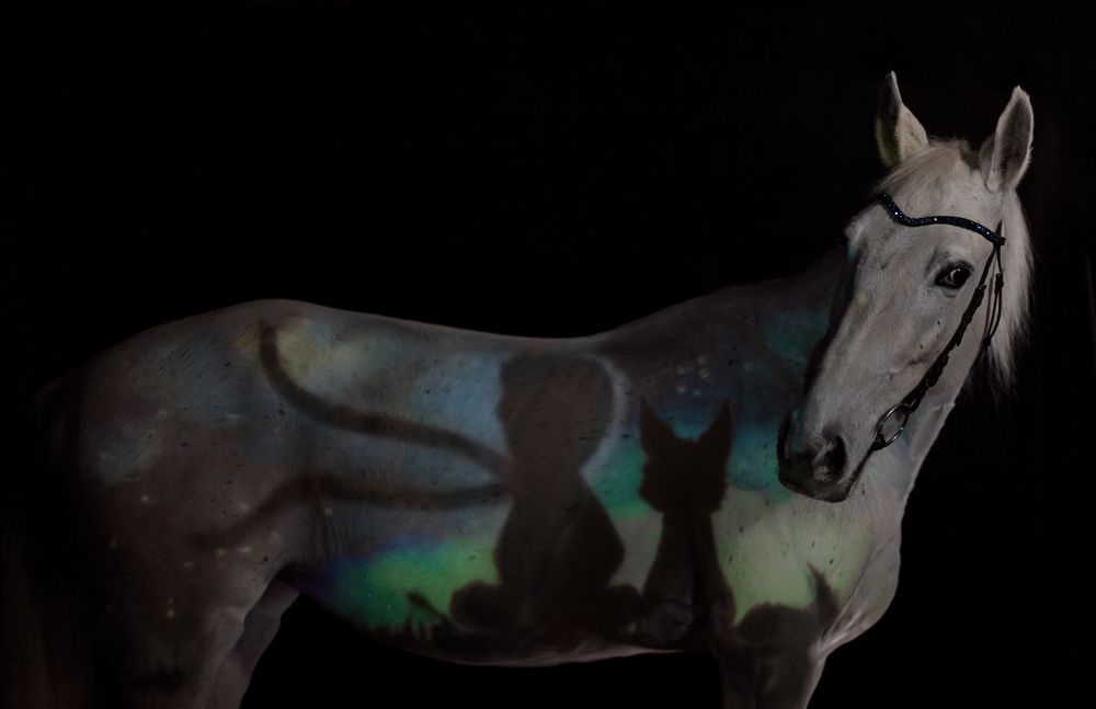 Фотография автора Мария Анатольевна Кузовлева