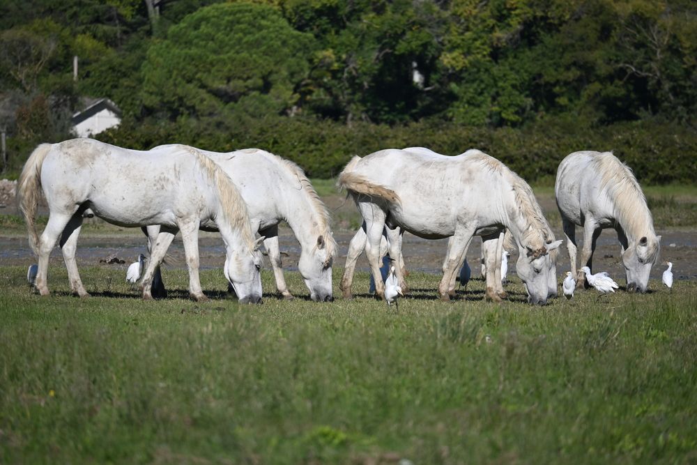 Photograph by Maria Vittoria Amoruso