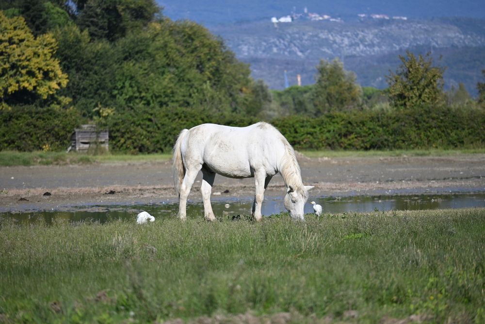 Photograph by Maria Vittoria Amoruso