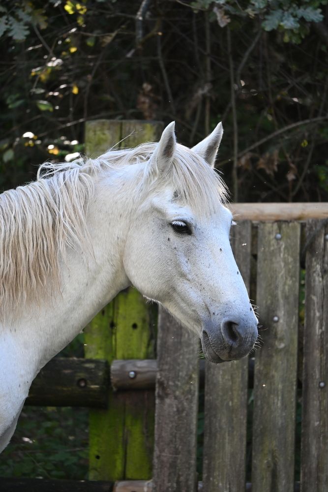 Photograph by Maria Vittoria Amoruso