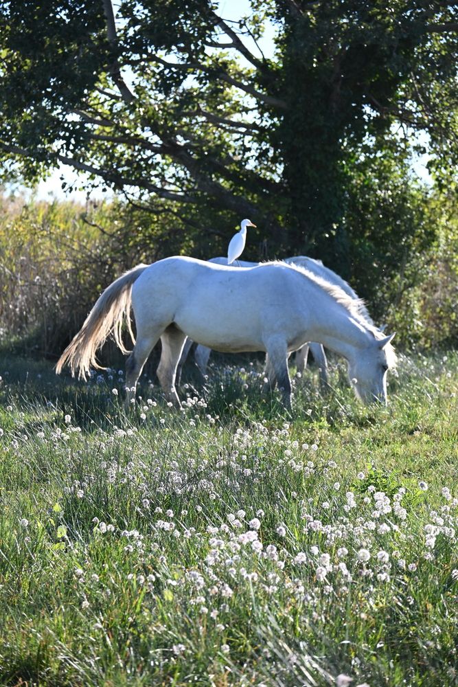 Photograph by Maria Vittoria Amoruso