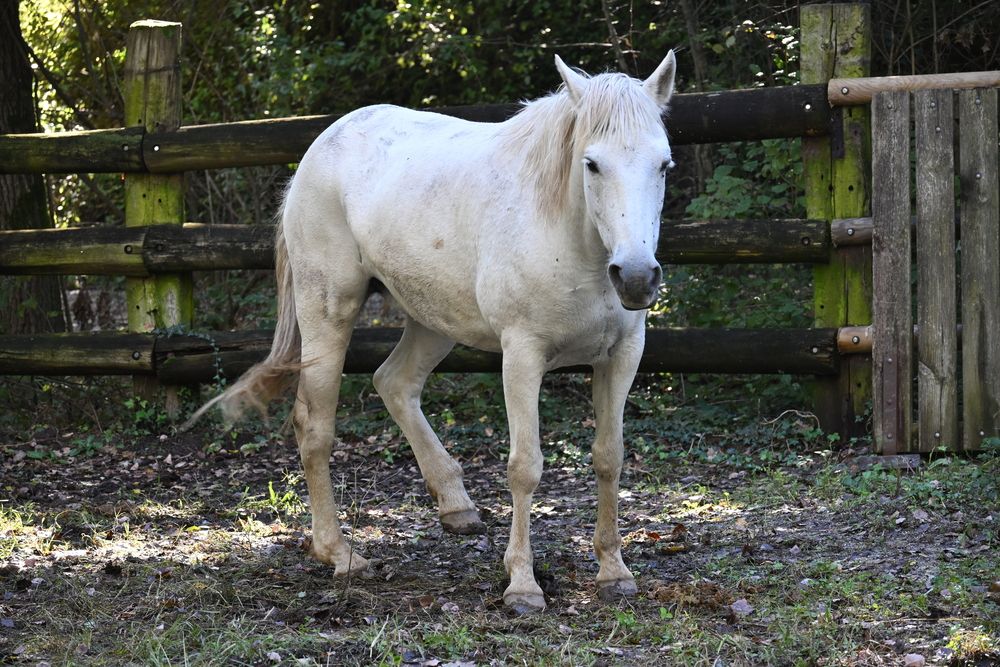 Photograph by Maria Vittoria Amoruso