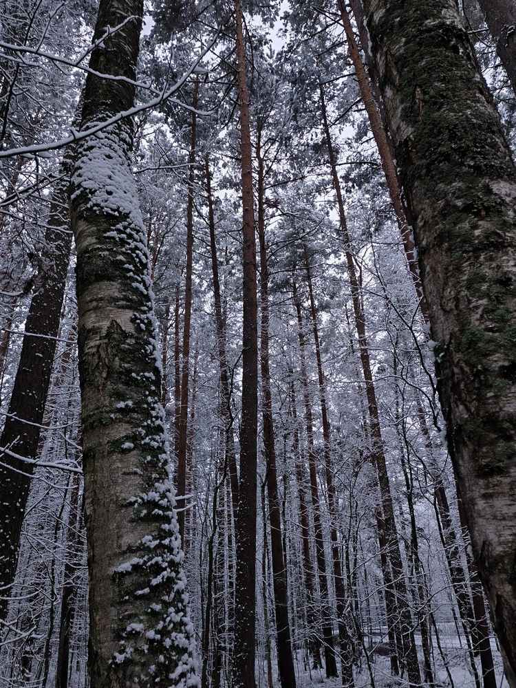 Photograph by Мария Фадеева