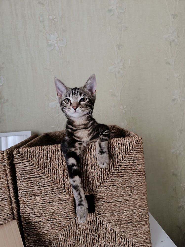 Photograph by Мария Фадеева