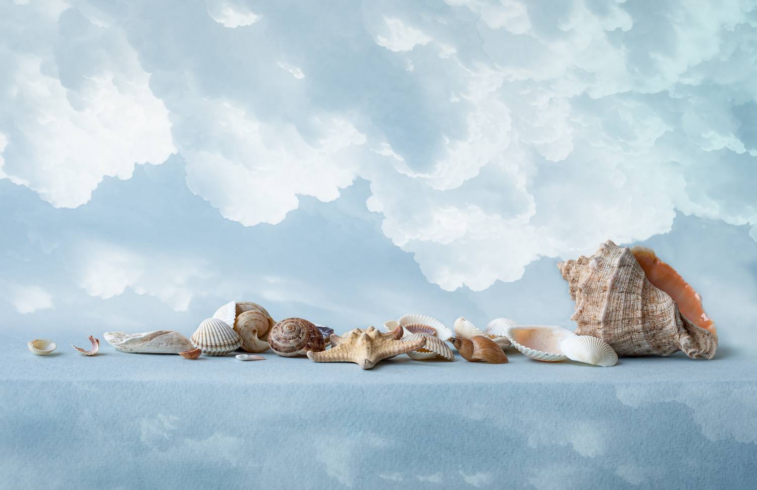 Фотография #13068036