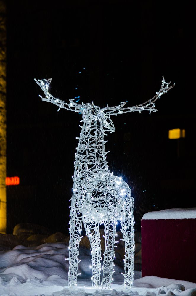 неси меня олень...