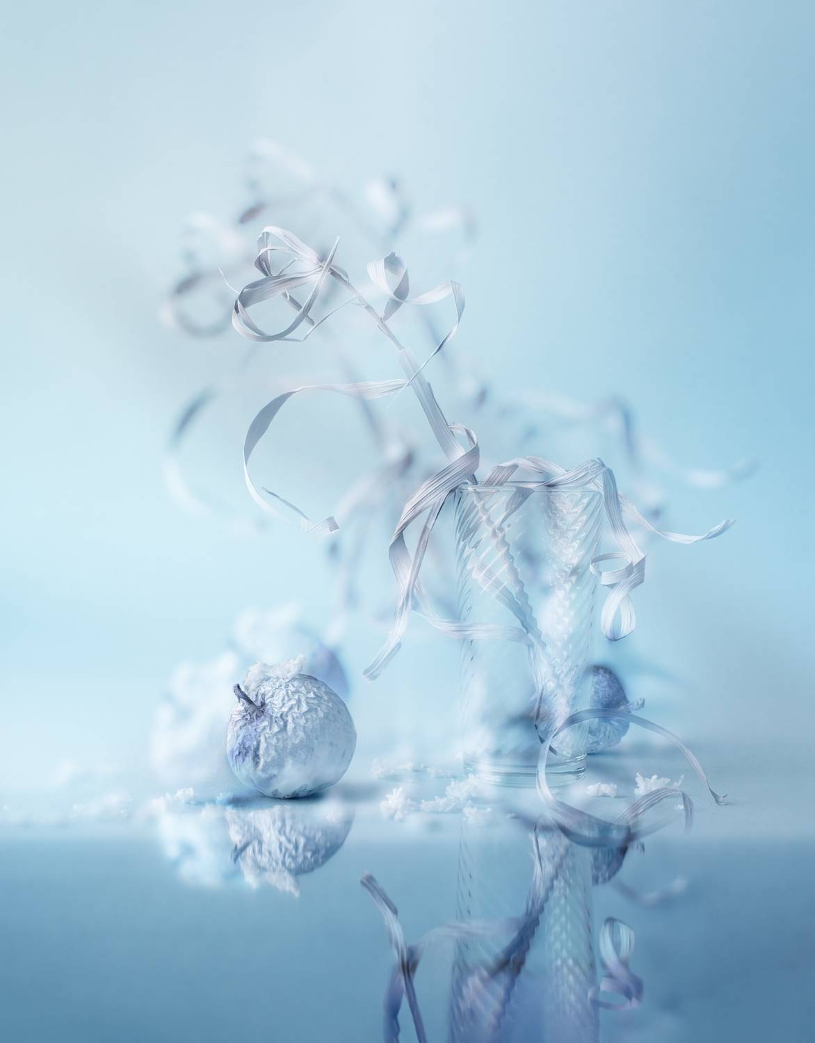 Фотография #13068046