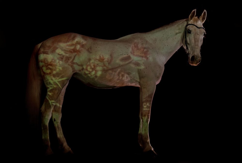 Фотография автора Мария Анатольевна Кузовлева