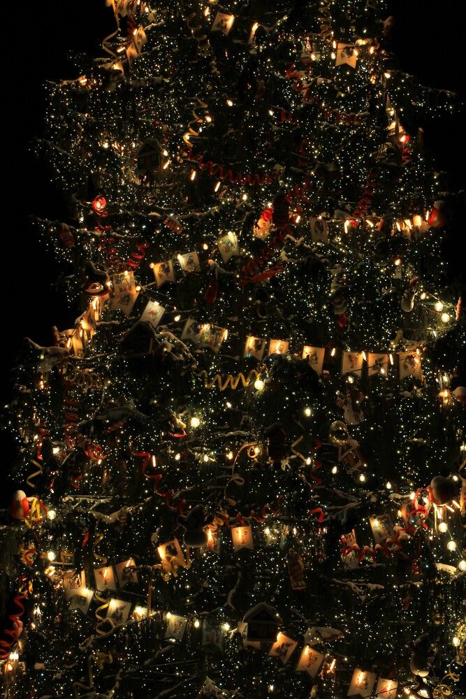 Photograph by Мария Фадеева