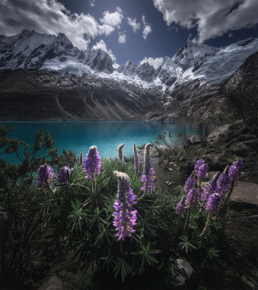 Summer in the Andes