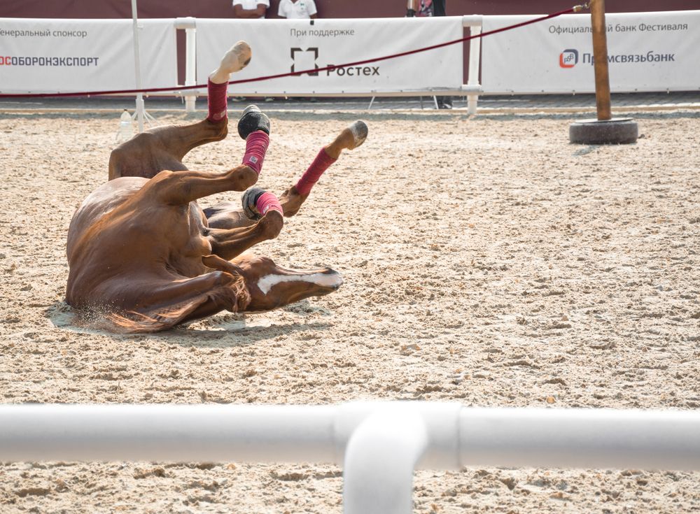 Photograph by Максим Жухлистов