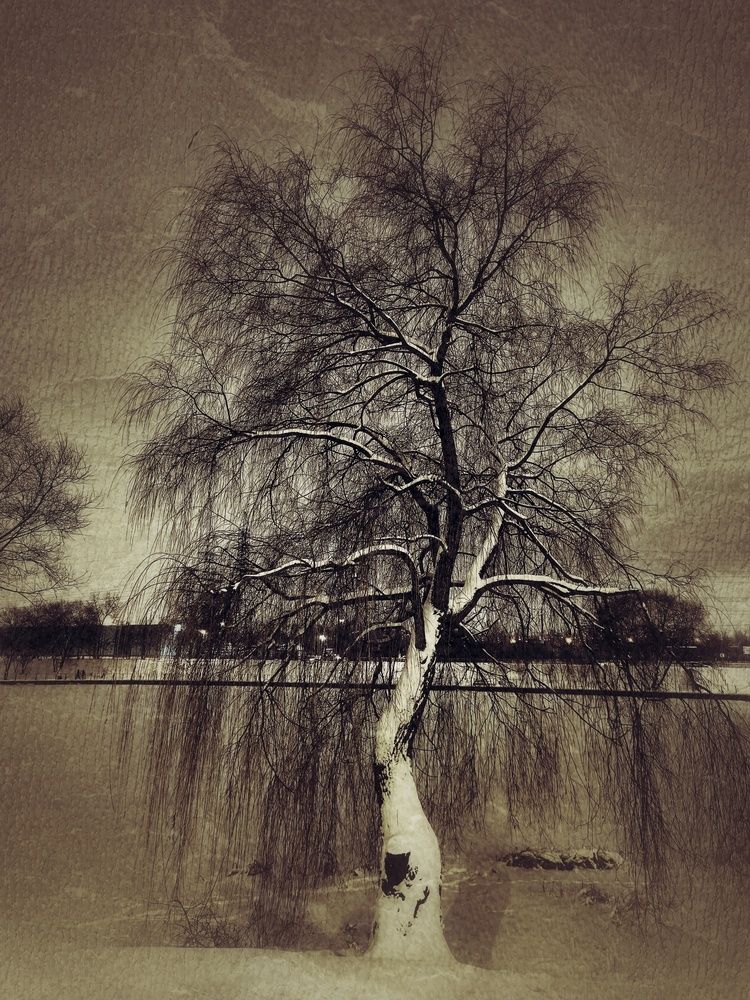 Фотография автора Олеся Хижко