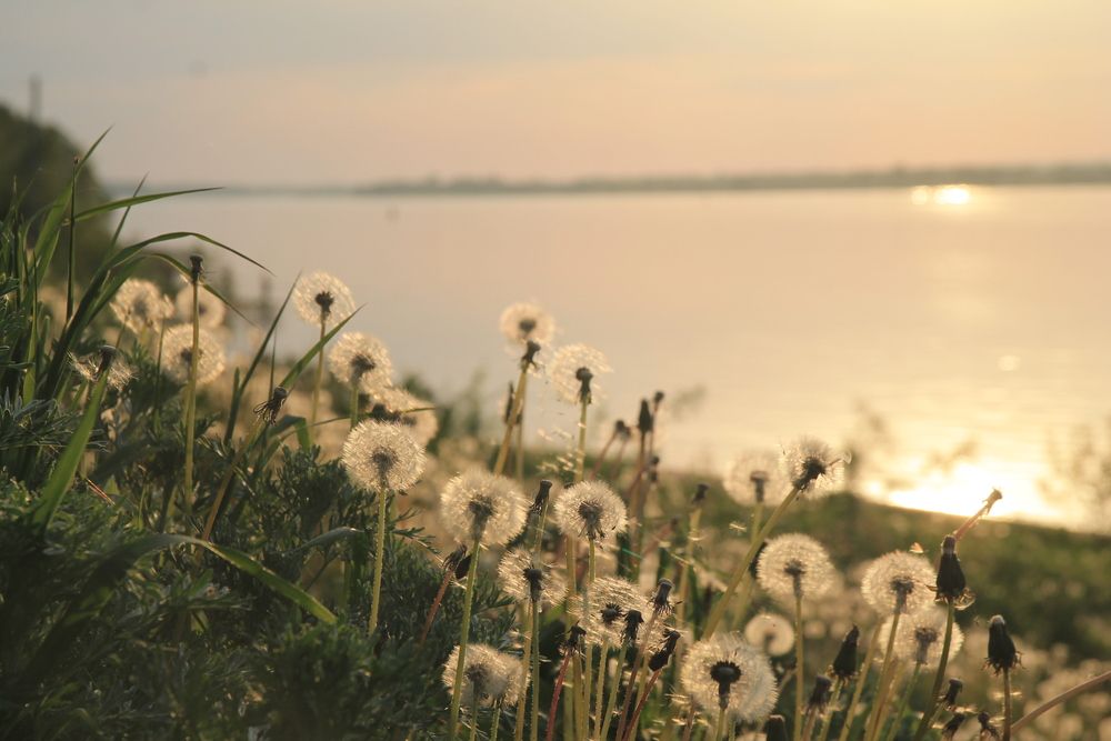 Photograph by Виталий Васильев