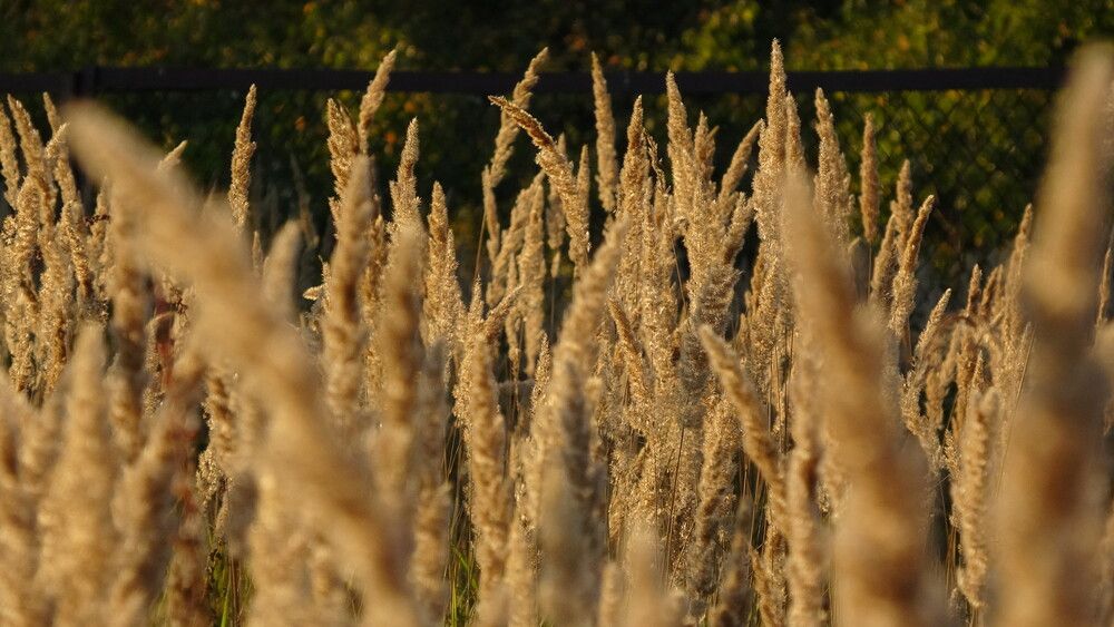 Photograph by Виталий Васильев