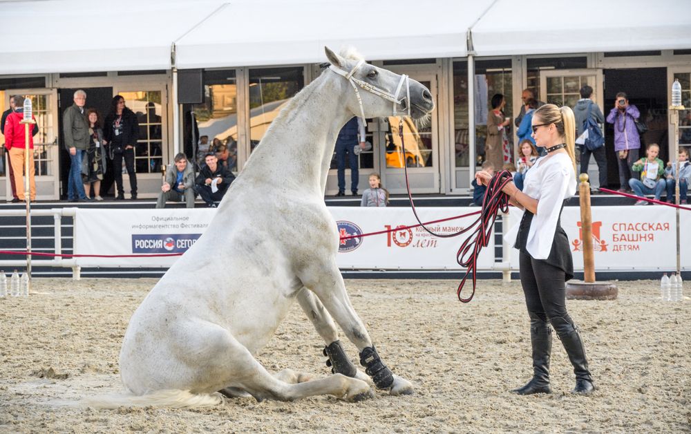 Photograph by Максим Жухлистов