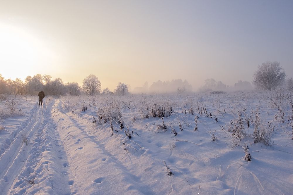 Фотография автора Наталья Липовская