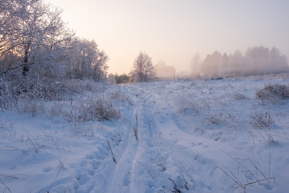 Фотография автора Наталья Липовская