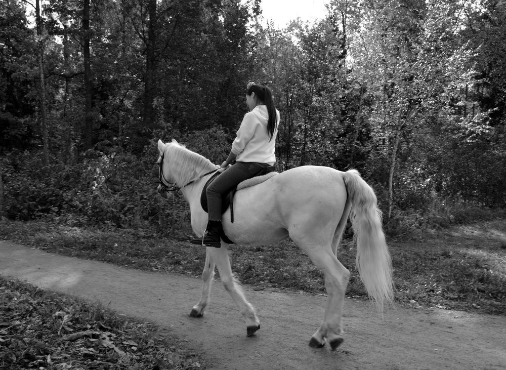 Фотография автора Анатолий Борисенко