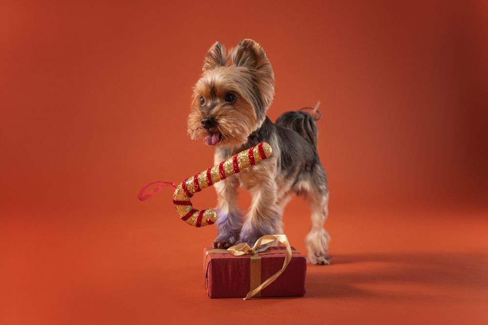 Photograph by Андрианова Ирина