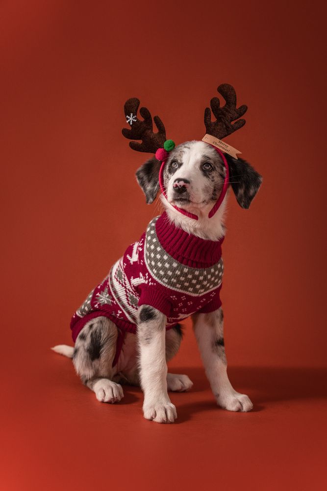 Photograph by Андрианова Ирина