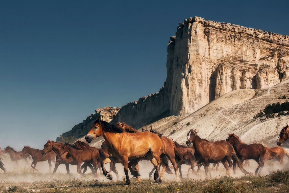 Photograph by Lozhkin Vyacheslav