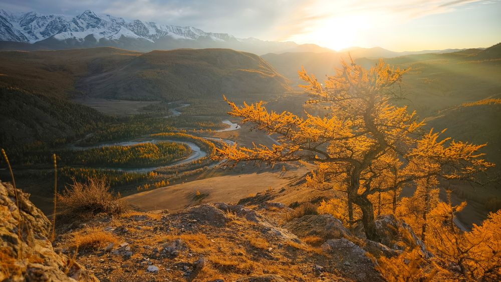 Photograph by Михаил Азаров