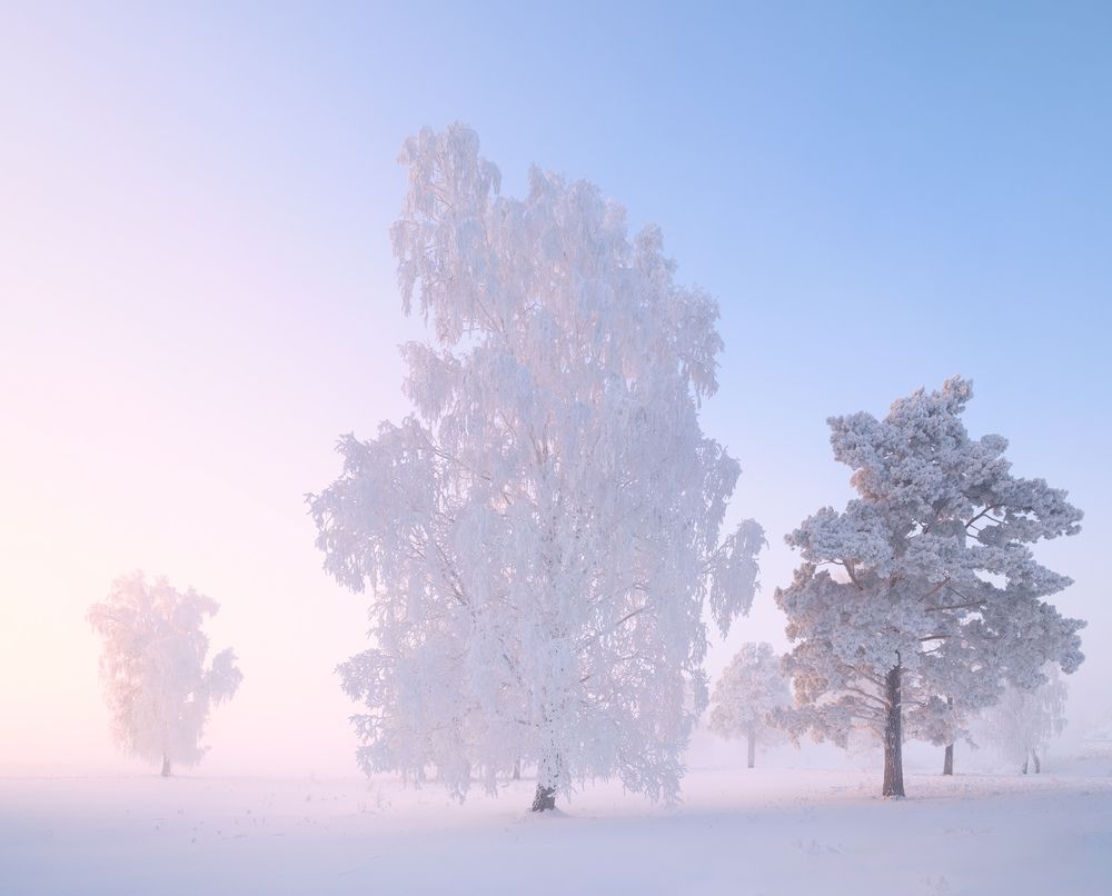 Photograph by Леонтьев Константин