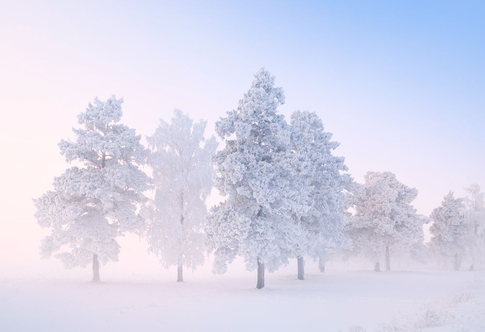 Фотография автора Леонтьев Константин