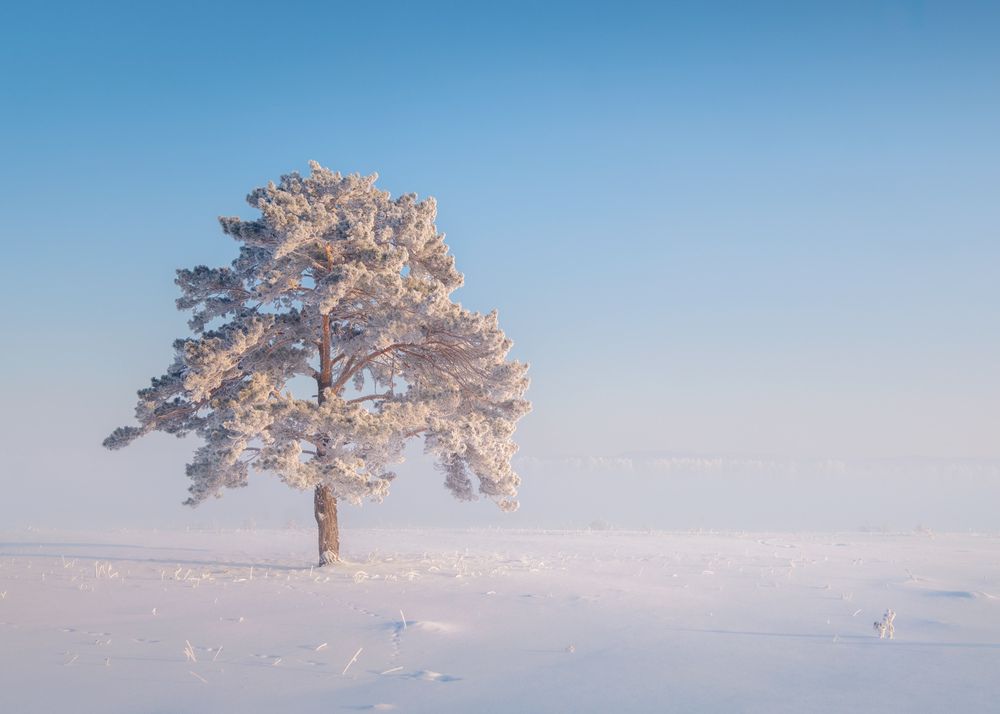 Photograph by Леонтьев Константин