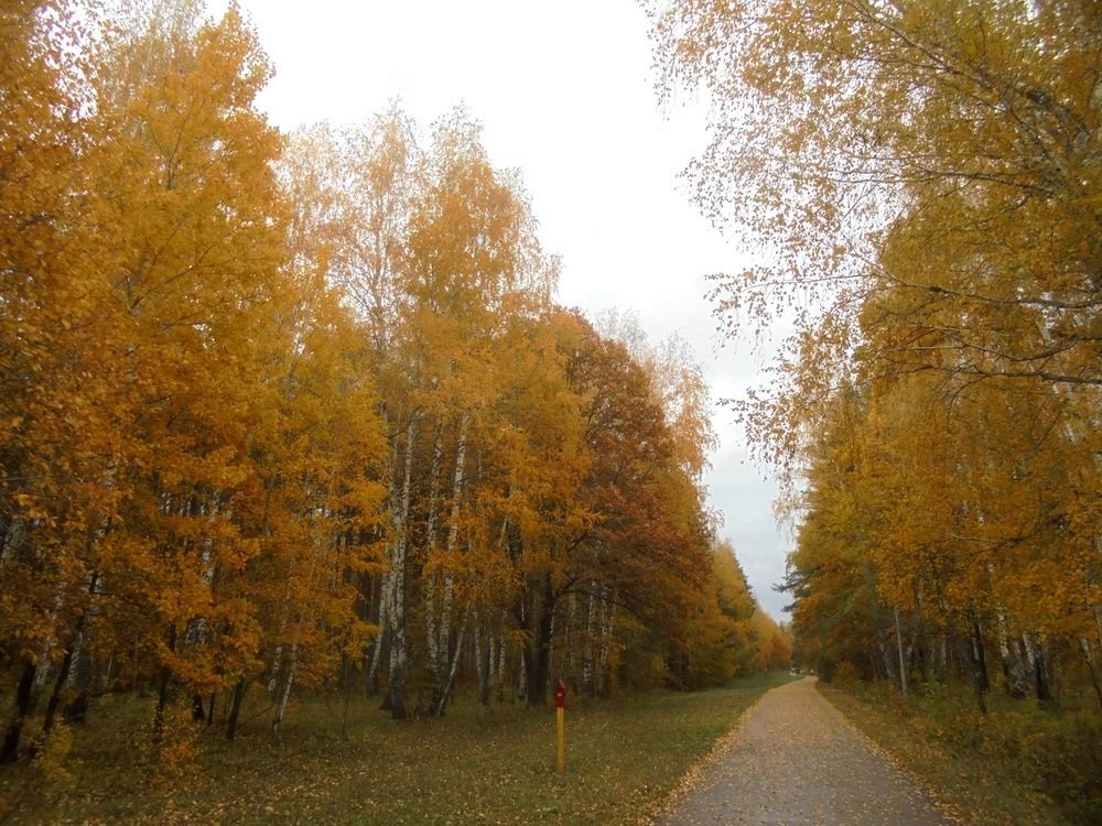 Photograph by Лилия Исхакова