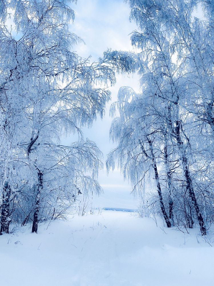 Photograph by Светлана Смук