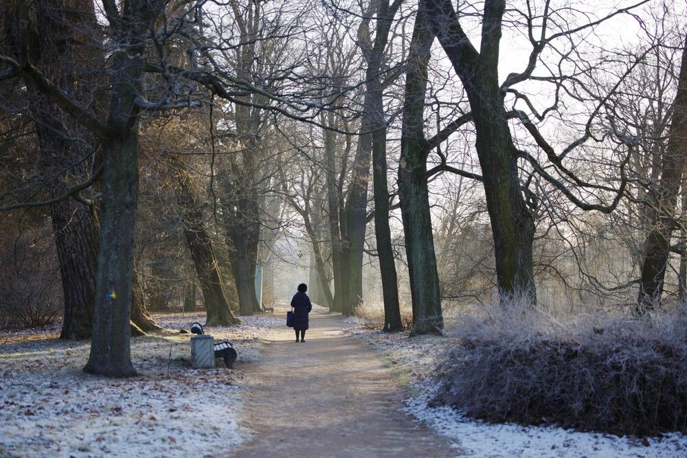 Фотография автора Natalia Kuzmina