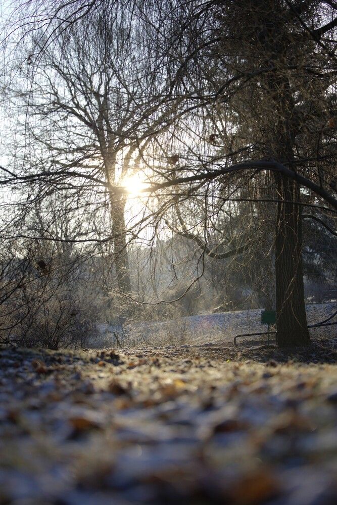 Фотография автора Natalia Kuzmina