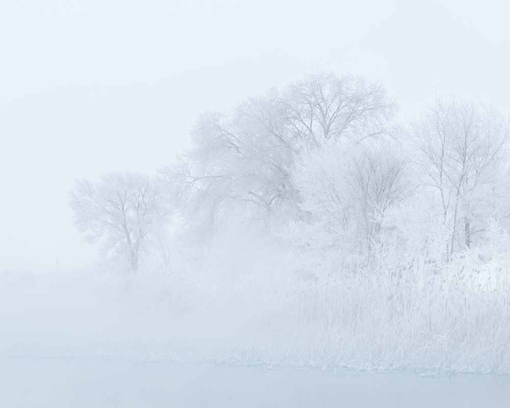 Photograph by Толстоноженко Илья