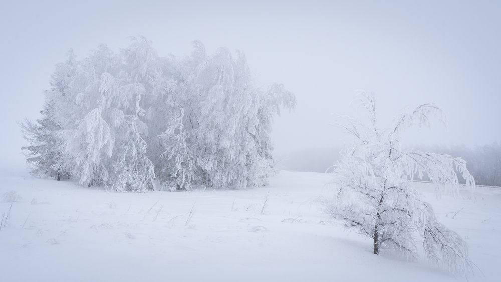 Фотография автора Зверев Григорий
