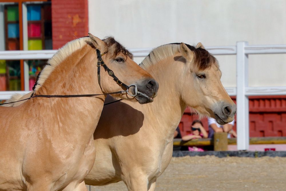 Фотография автора Светлана Долотова