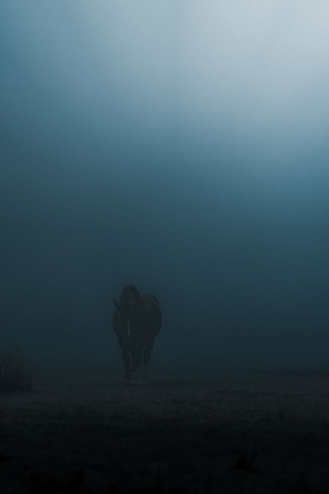 Quiet dawn