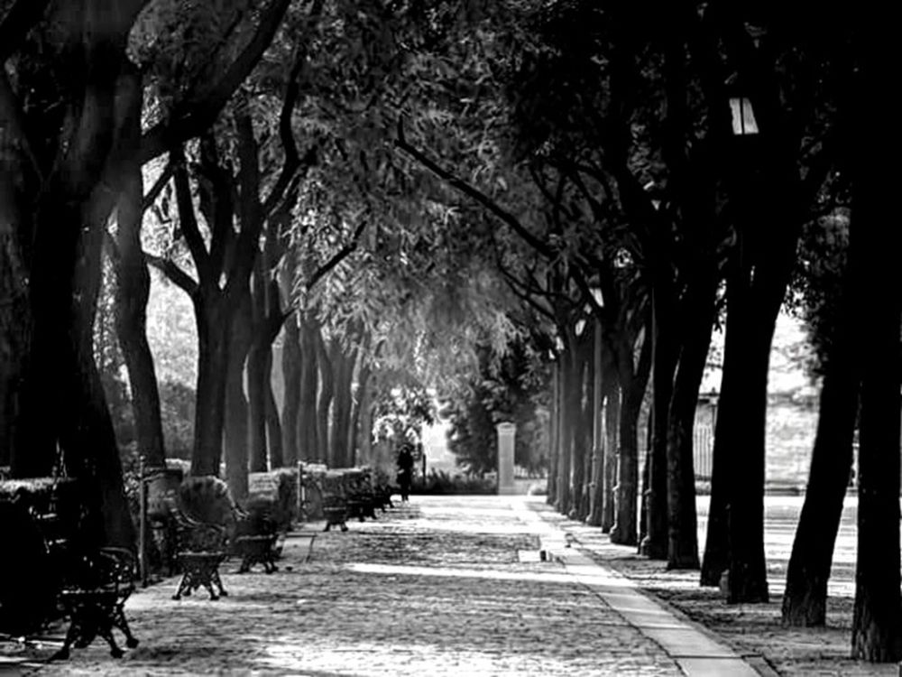 Photograph by Sill Scaroni