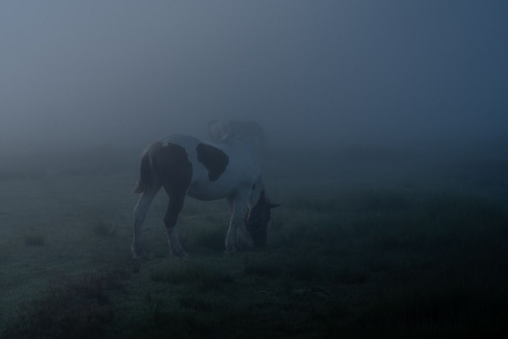 As dawn breaks