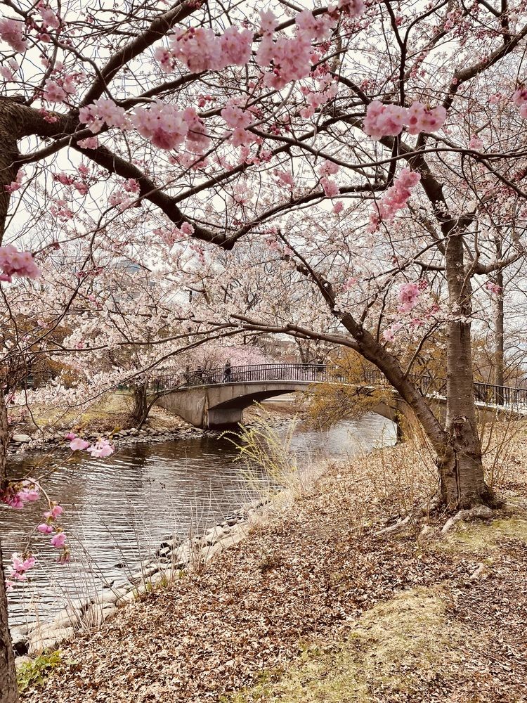 Фотография автора Olga Andriuc