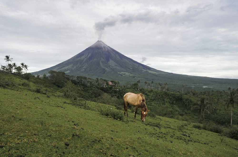 Stillness and Strength